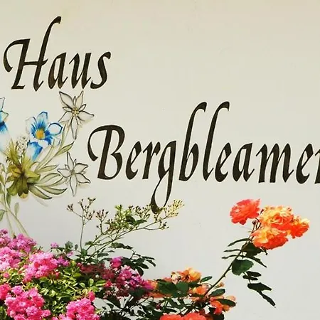Haus Bergbleamerl 公寓 鲁波尔丁