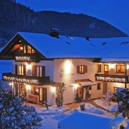 公寓 Haus Bergbleamerl *